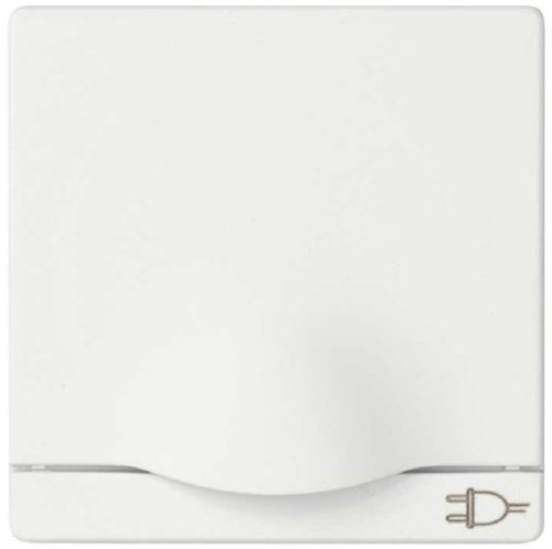 Лицевая панель Simon82 для 1-м. розетки 220В с крышкой белый картинка